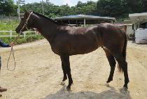 Ŭ�������� (CLEAN UP BELLA) ����