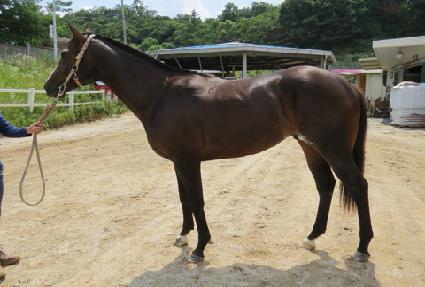 Ŭ�������� ����