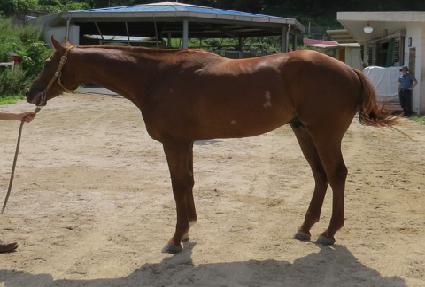 ���̿������� ����