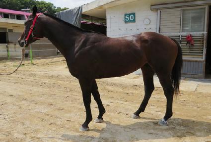 �������� ����