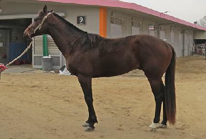 ��ī��Ȧ�� ����