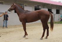 �ĳ�󸶺� (PANORAMA VIEW) ����