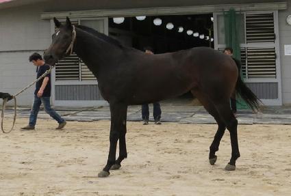 ����Ŀ���� ����