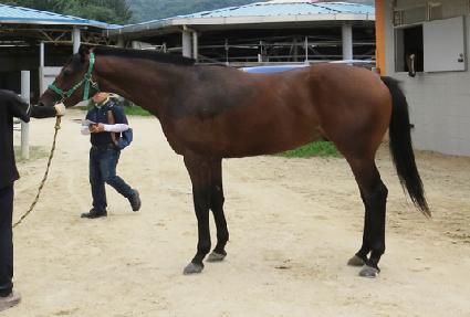 ���丮�� ����