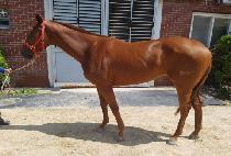 AMAZING SUNNY picture