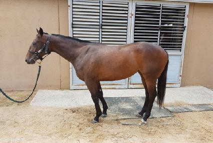 �ֽ��ź��̺� ����