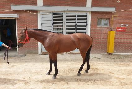 �Ҹ�ġ�� ����