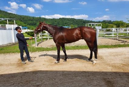 ��Ÿ��ƽ�ε� ����