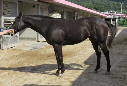 �ο�����ƾ ����