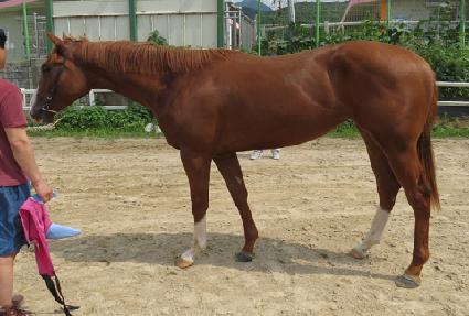 �ε���� ����