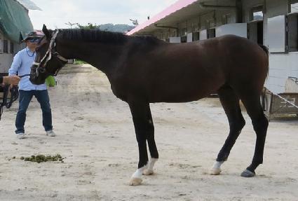 �������� ����