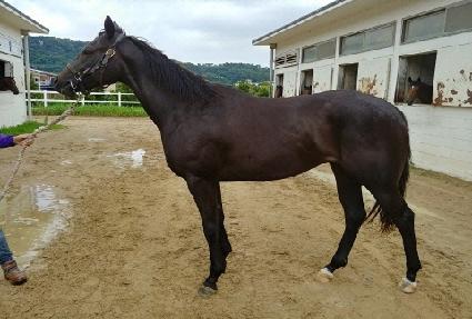 ���������� ����