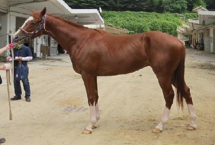 �Ⱦ���� ����