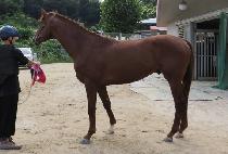 �븶�һ� (DAEMA BULSA) ����