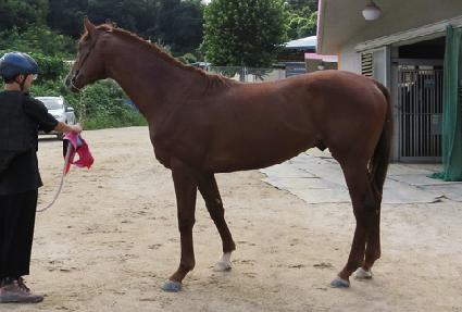 �븶�һ� ����