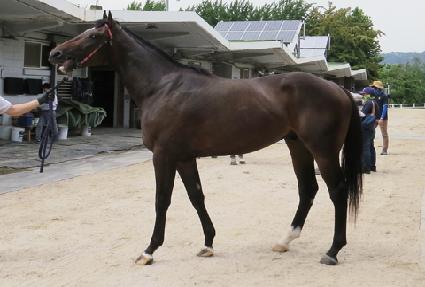 �ε�� ����