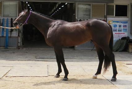 ���� ����