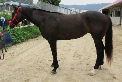 ���丮���� ����