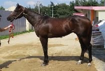 ���̷ι̿� (MY ROMEO) ����