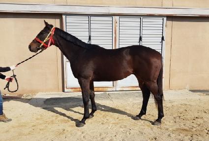 �����ī�� ����