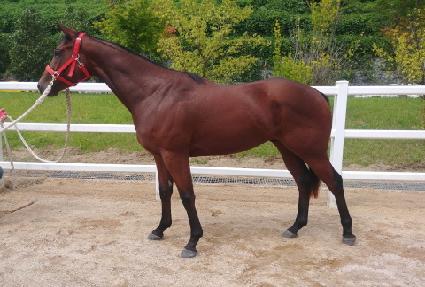 ����Ŀ���帲 ����