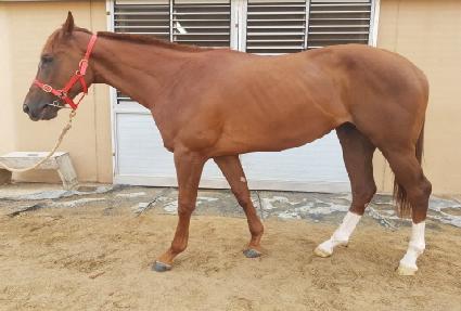 ������� ����