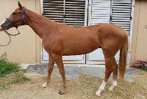 �������� (MYEONGBO JOY) ����