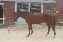 ����Ʈ���� (SWEET ALLURE) ����