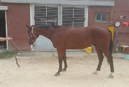 ����Ʈ���� ����