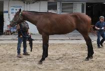 HAENGBOK WANGJA picture