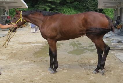 ���� ����