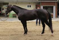 �̷��� (IRRUPTION) ����