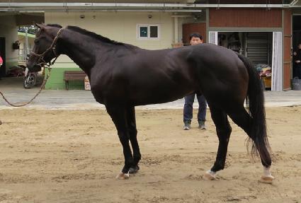 �̷��� ����