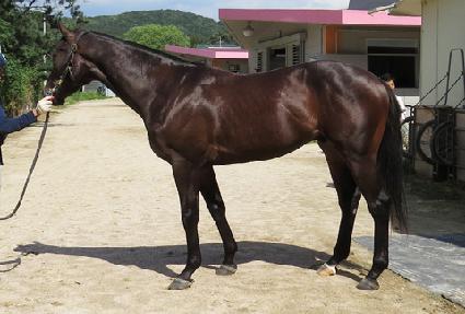 �ö���ĵ�� ����