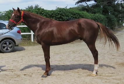 ���췰Ű ����