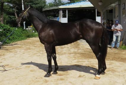 ���̵�Ӵ� ����