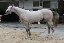 ť�ǵ�̼� (CUPID MISSION) ����