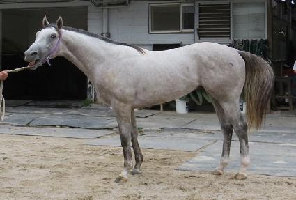 ť�ǵ�̼� ����