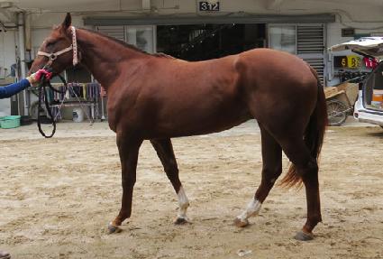 �ǳ�ý��� ����