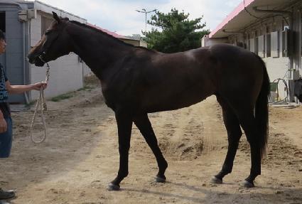 ��ŷ�۽�Ʈ ����