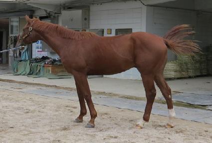 �ε��� ����