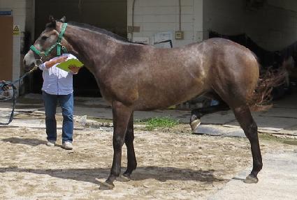 ������ ����