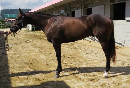 Ǯ�ν��� ����