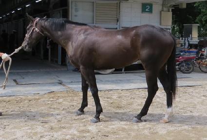 �۷ι����� ����