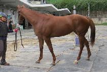 ��������Ƽ�� (SERENDIPITIYA) ����