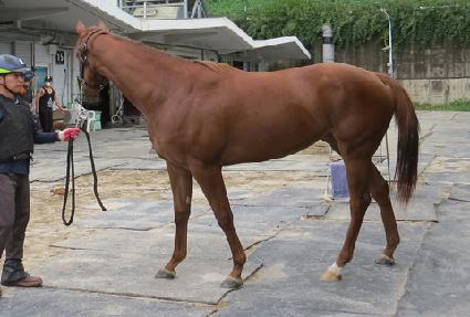 ��������Ƽ�� ����