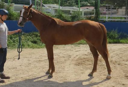 Ŭ�������� ����