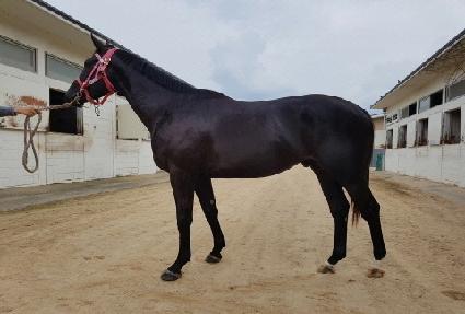 ��ǳ��� ����