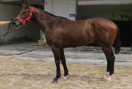 ����è�� ����