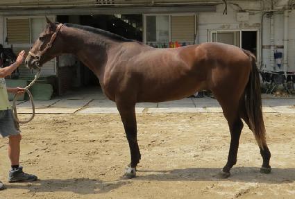 ����Ʈ��Ʈ�� ����